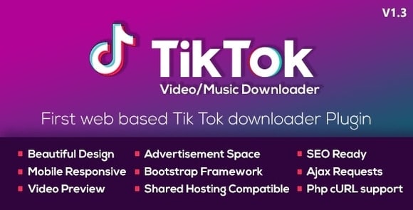 TikTok Video and Music Downloader without Watermark Null PHP Script
