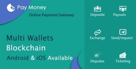 PayMoney Online Payment Gateway