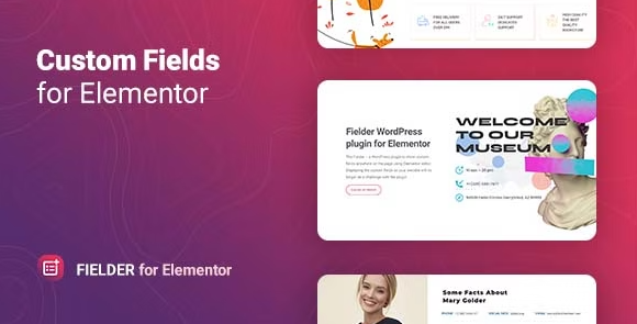 Download #Fielder v1.0 – WordPress Custom Fields for Elementor Add-on