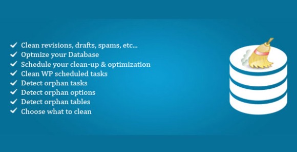 WordPress Advanced Database Cleaner Pro