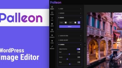 Palleon WordPress Image Editor Plugin Download