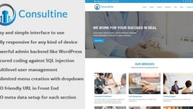 Consultine Consulting Business and Finance Website CMS Script