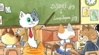 Media File Renamer Pro WordPress Plugin