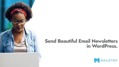 Mailster Email Newsletter Plugin for WordPress