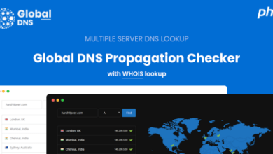 Global DNS Propagation Checker WHOIS Lookup PHP Script