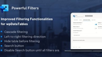 Powerful Filters for wpDataTables Addon