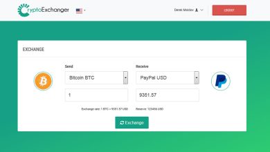 CryptoExchanger Nulled Script Download