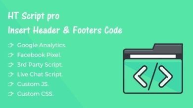 HT Script Pro Insert Headers and Footers Code WordPress Plugin