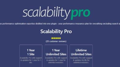 Scalability Pro WordPress Plugin