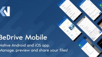 BeDrive Mobile Native Flutter Android and iOS App for File Storage Script