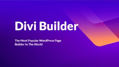 Divi Builder WordPress Plugin