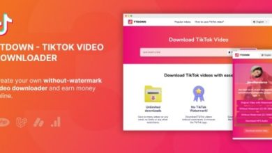 TikTok Video Downloader Without Watermark and Music Extractor Nulled Script