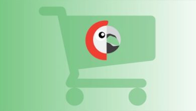 Polylang for WooCommerce Plugin Nulled