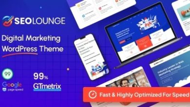 SEO Lounge Digital Marketing Theme Nulled Download