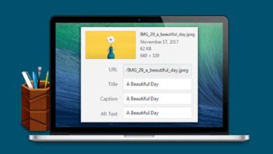 Auto Image Attributes Pro WordPress Plugin Nulled