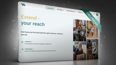 CMS Pro Content Management System Script
