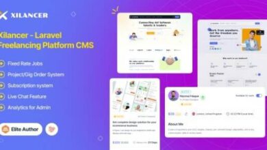 Xilancer Freelancer Marketplace Platform with Services and Projects
