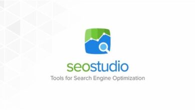 SEO Studio Professional Tools for SEO Nulled