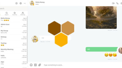 Clover Real-Time Messaging Audio and Video Conferencing
