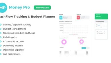 Money Pro Cashflow and Budgeting Manager Script