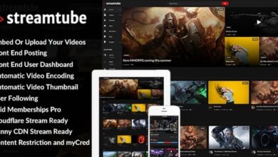 StreamTube Video Streaming WordPress Theme