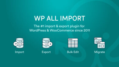 WP All Export Pro WordPress Plugin