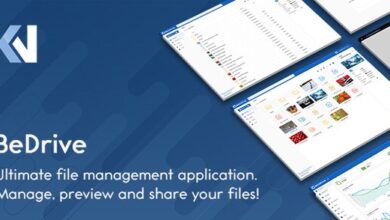 BeDrive File Sharing and Cloud Storage Script