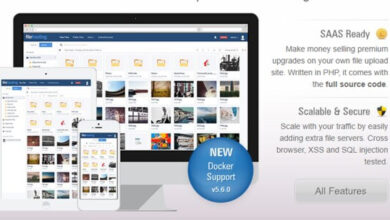 Yetishare Nulled Script and Plugins Pack