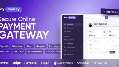 PayMoney Secure Online Payment Gateway Nulled Script