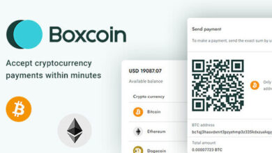 Boxcoin Crypto Payment Script Nulled
