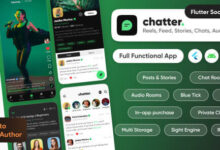 Chatter TikTok Social Media Short Video Reels Chats Posts Stories Flutter Laravel