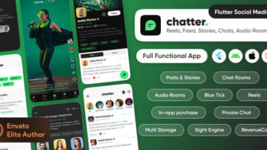 Chatter TikTok Social Media Short Video Reels Chats Posts Stories Flutter Laravel