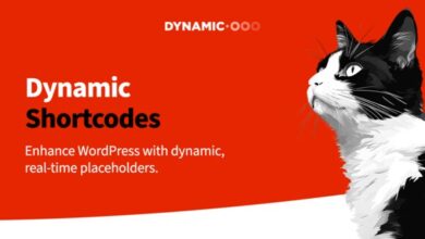 Dynamic Shortcodes WordPress Plugin
