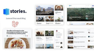 Stories Laravel Creative Multilingual Blog Script