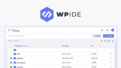 WPIDE File Manager and Code Editor WordPress Plugin