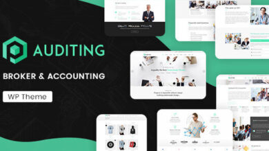 Auditing Accounting Consultant Finance WordPress Theme