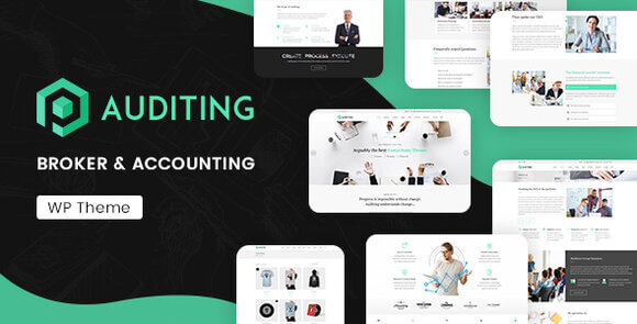 Auditing Accounting Consultant Finance WordPress Theme